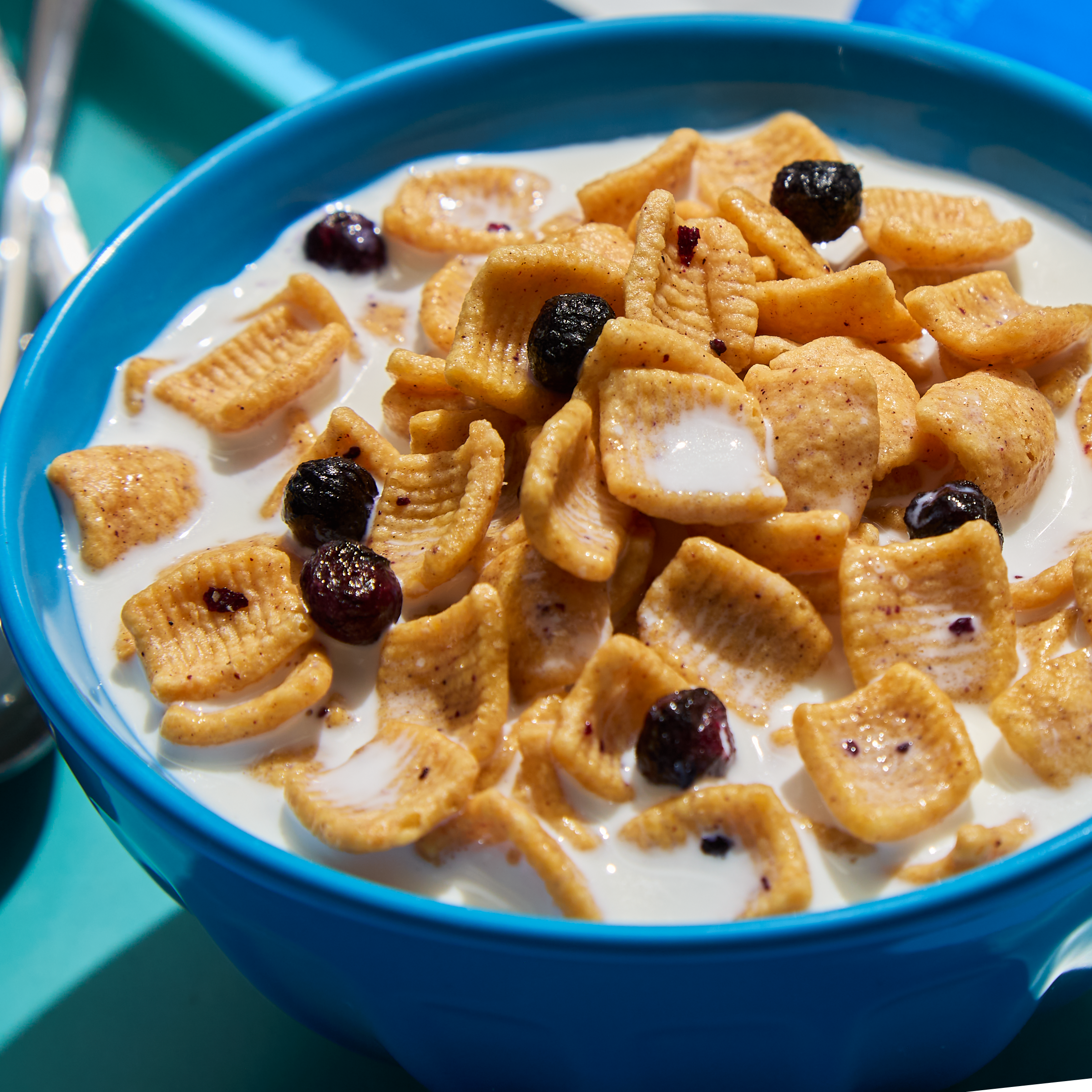 Blueberry Muffin with Blueberries Cereal - Fresh Style